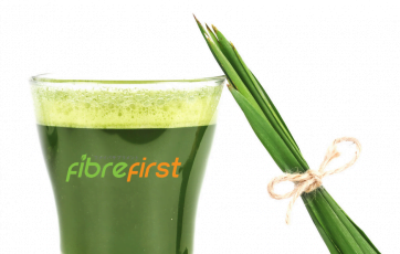 [:en]Wheatgrass, an ingredient of FibreFirst, helps in keeping the digestive system healthy.[:]
